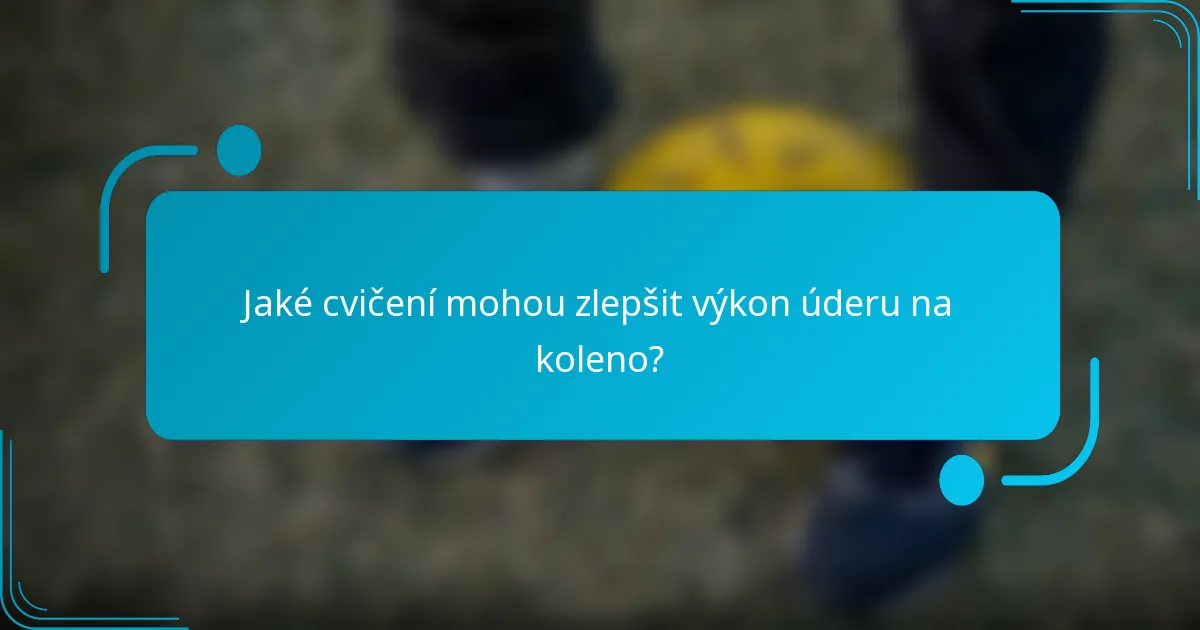 Jaké cvičení mohou zlepšit výkon úderu na koleno?